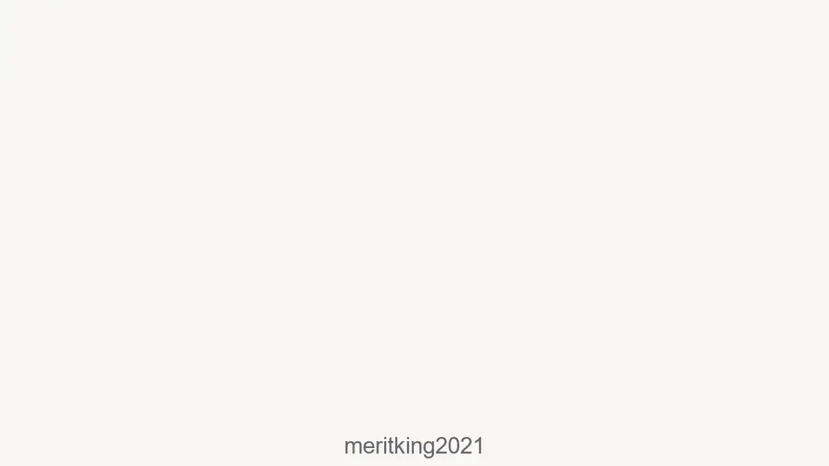 Meritking2021