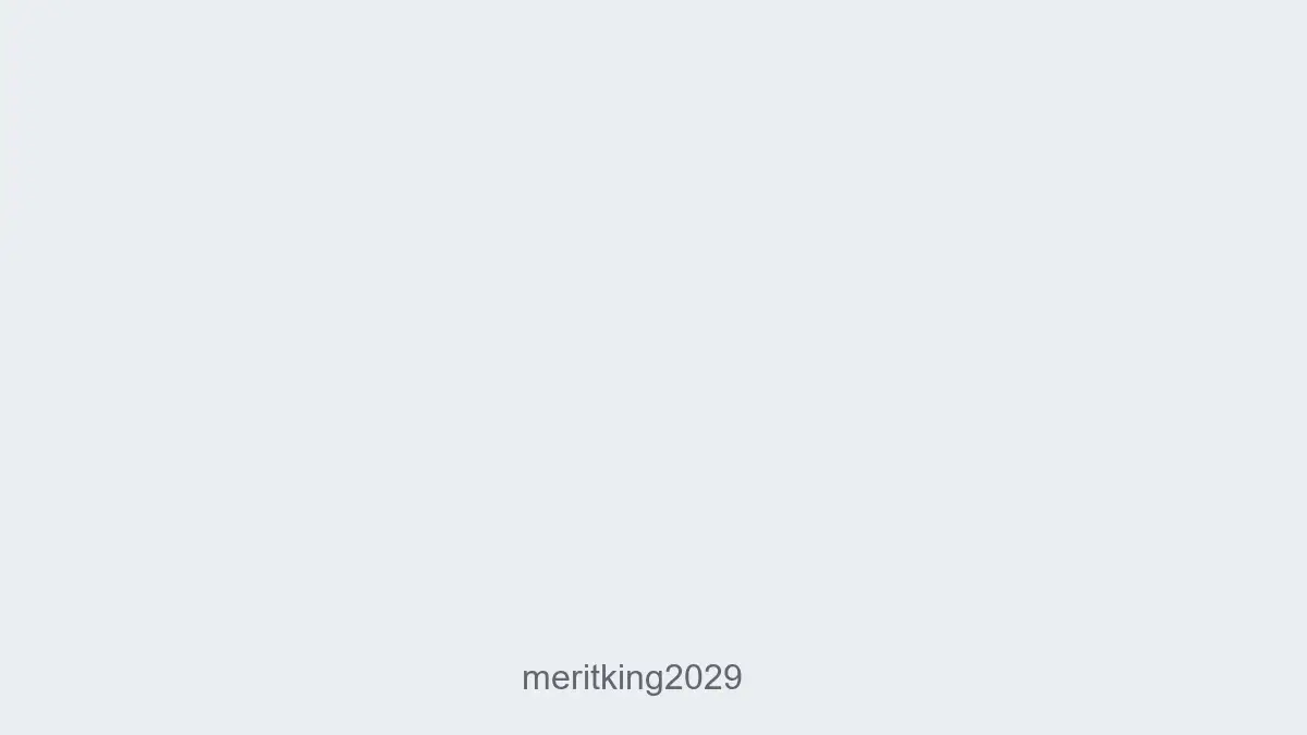 Meritking2029