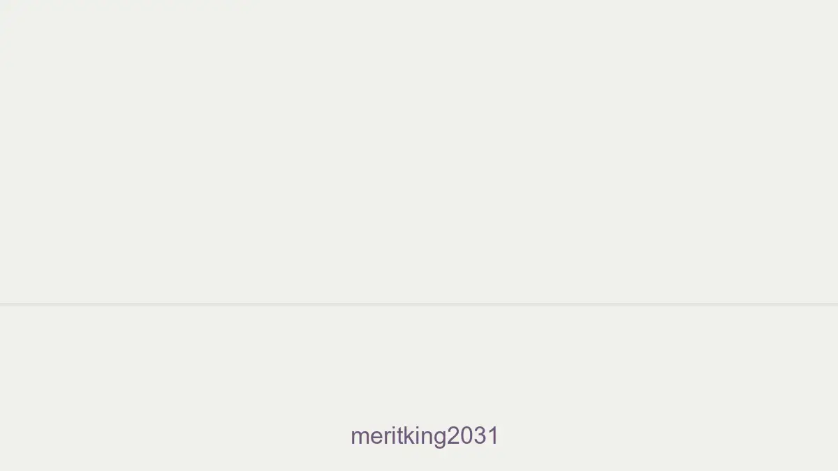 Meritking2031