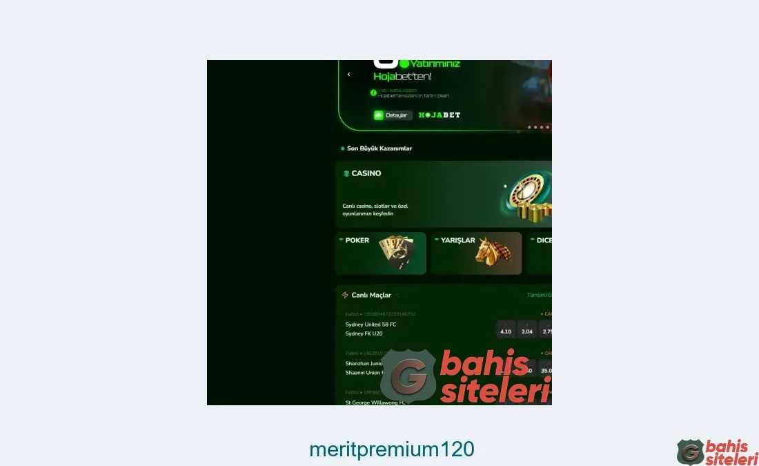 Meritpremium120