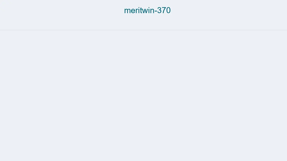 Meritwin 370