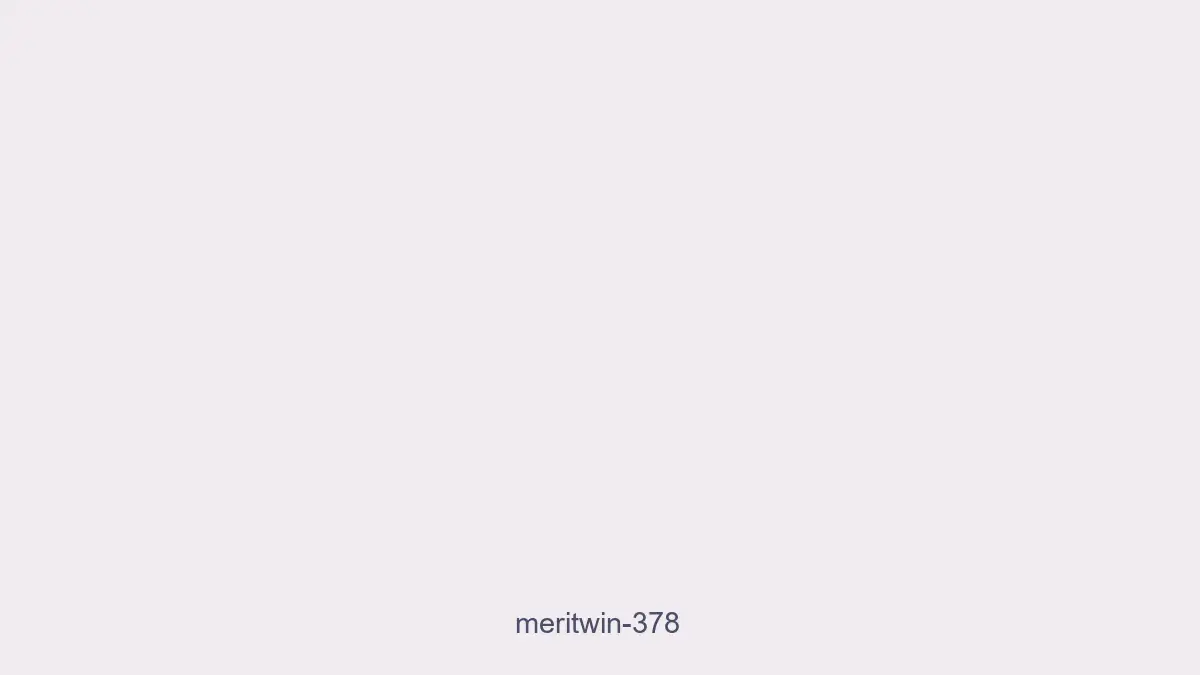 Meritwin 378