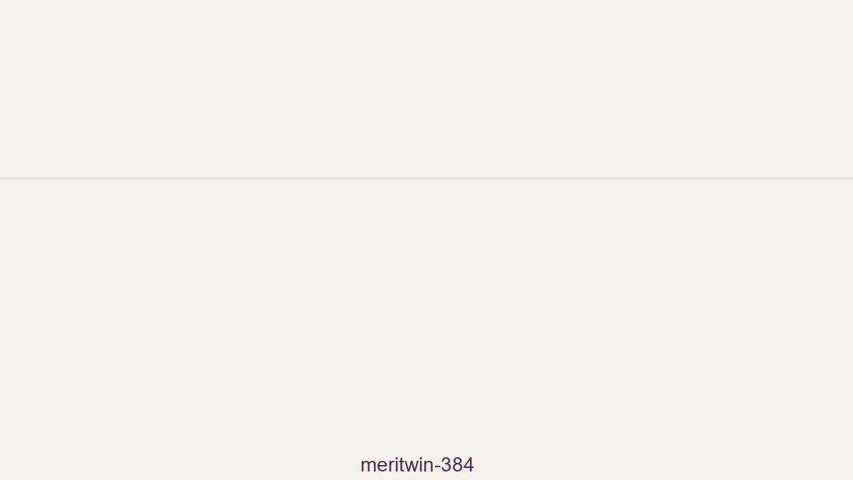 Meritwin 384