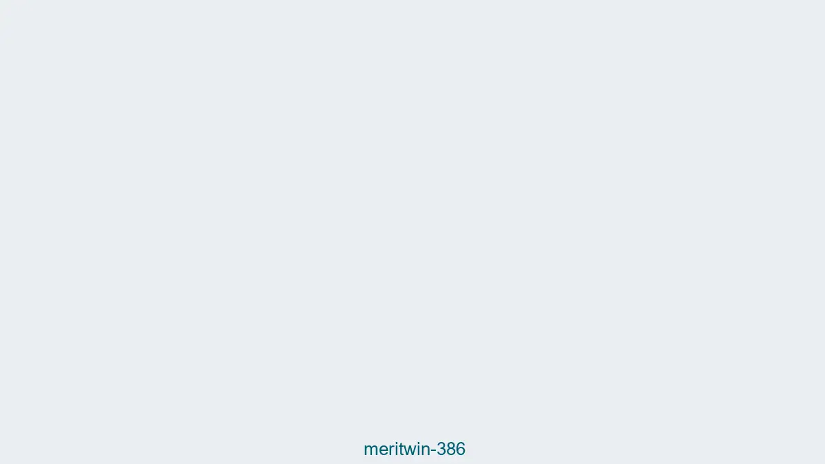 Meritwin 386