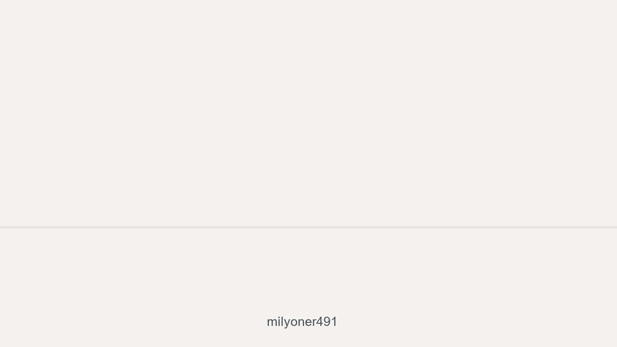 Milyoner491