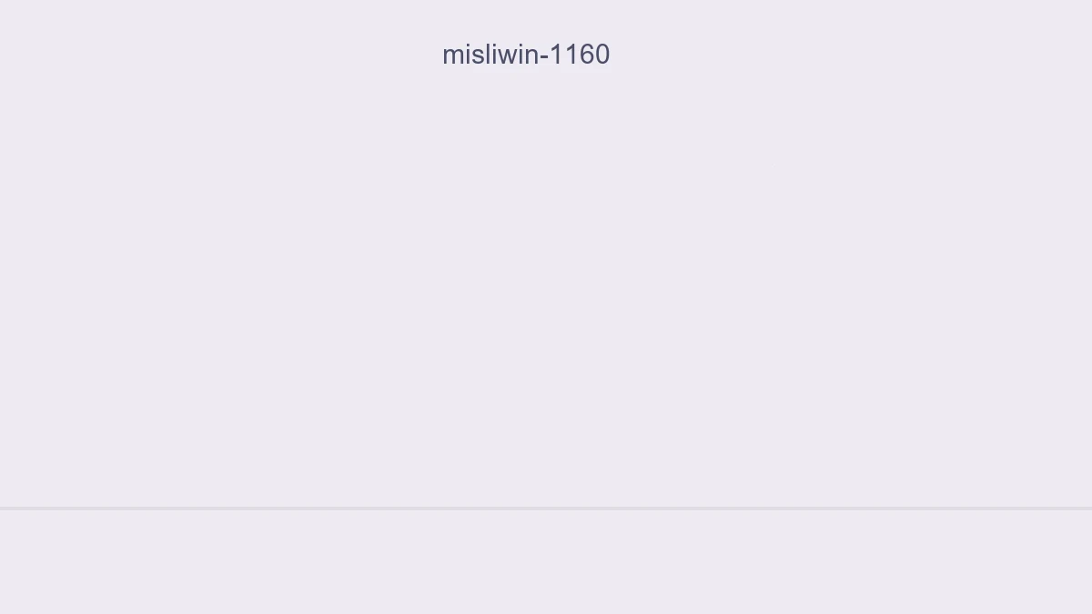 Misliwin 1160