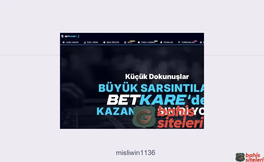 Misliwin1136
