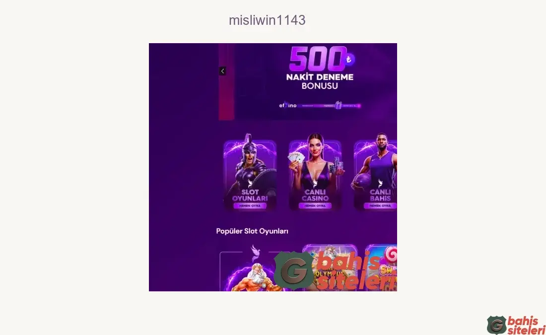 Misliwin1143