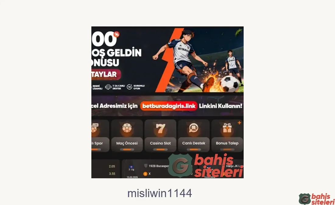 Misliwin1144