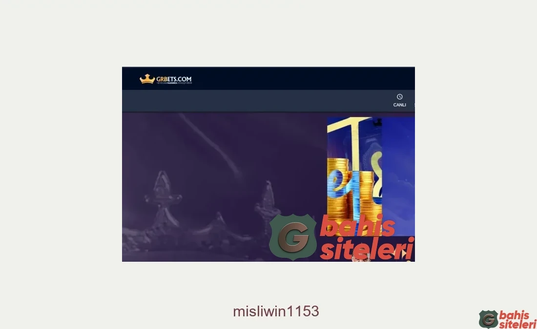 Misliwin1153
