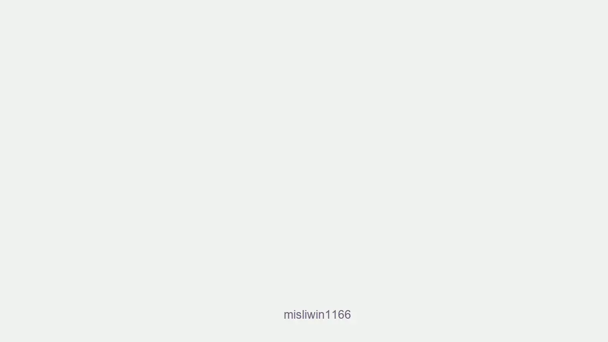 Misliwin1166