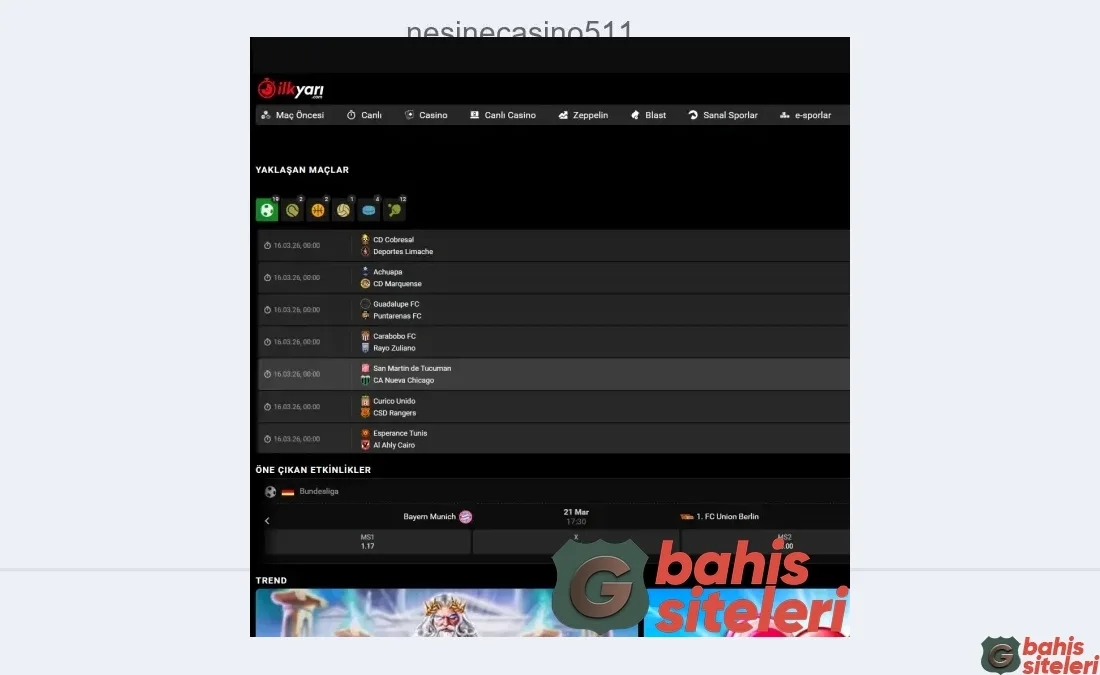 Nesinecasino511