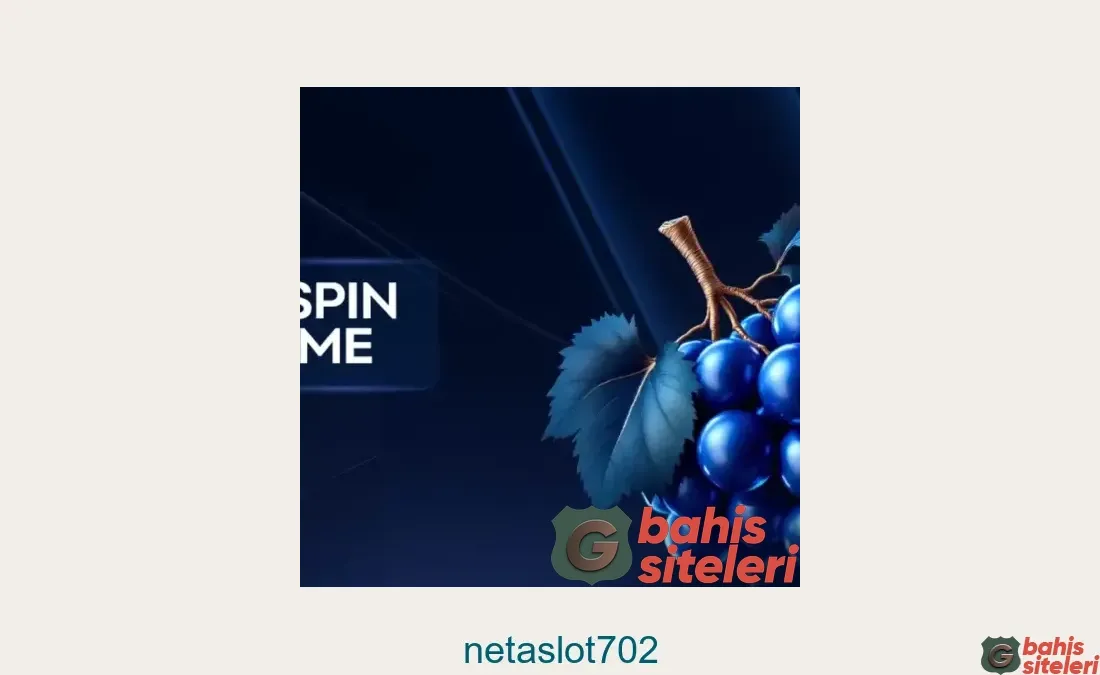Netaslot702