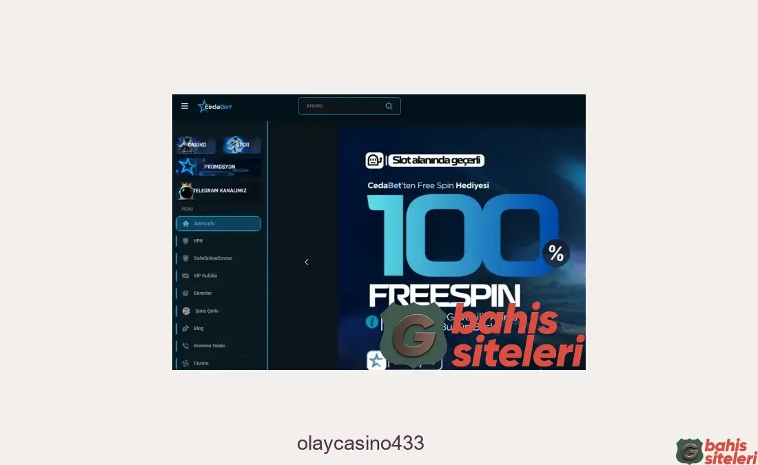 Olaycasino433