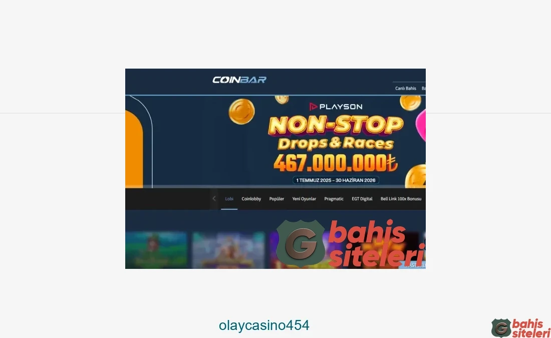 Olaycasino454