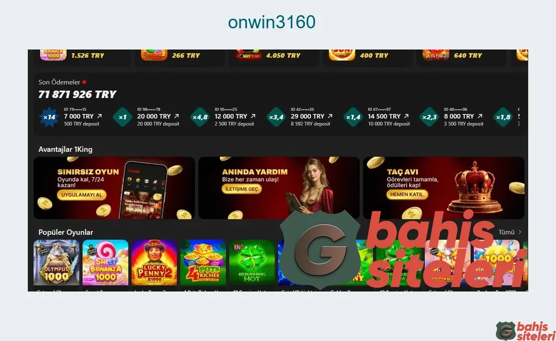 Onwin3160
