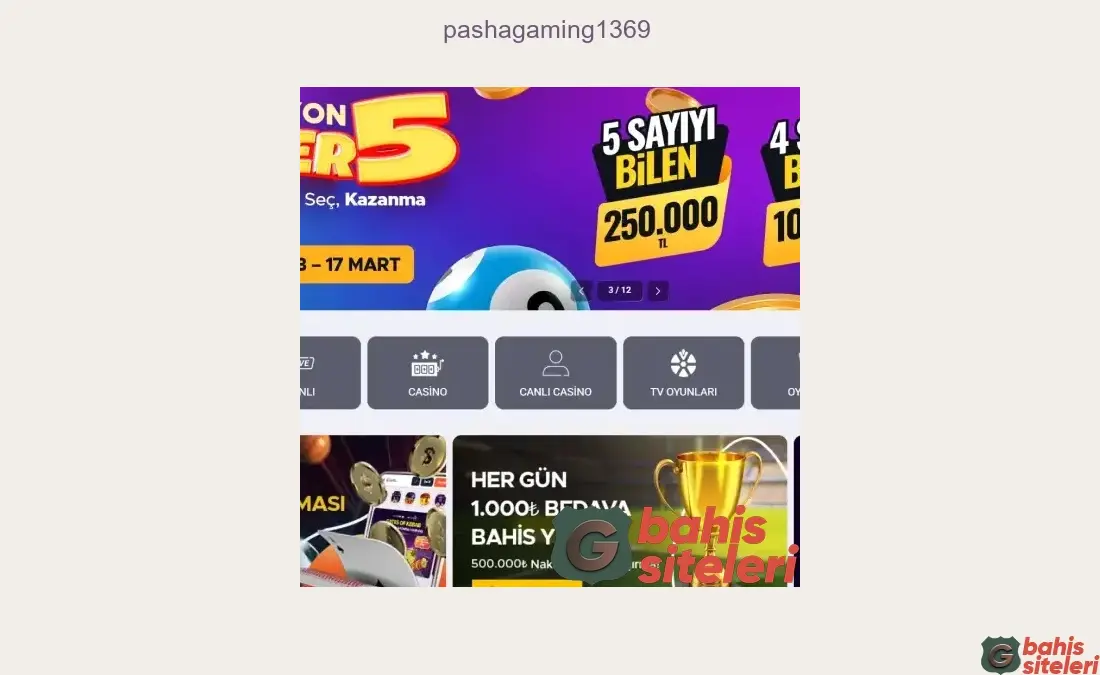 Pashagaming1369
