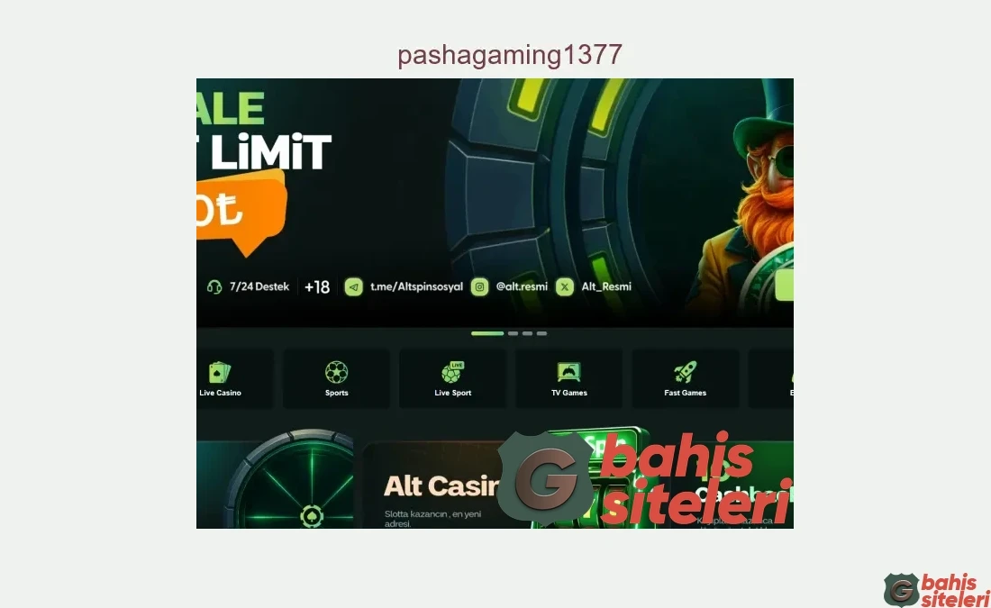 Pashagaming1377