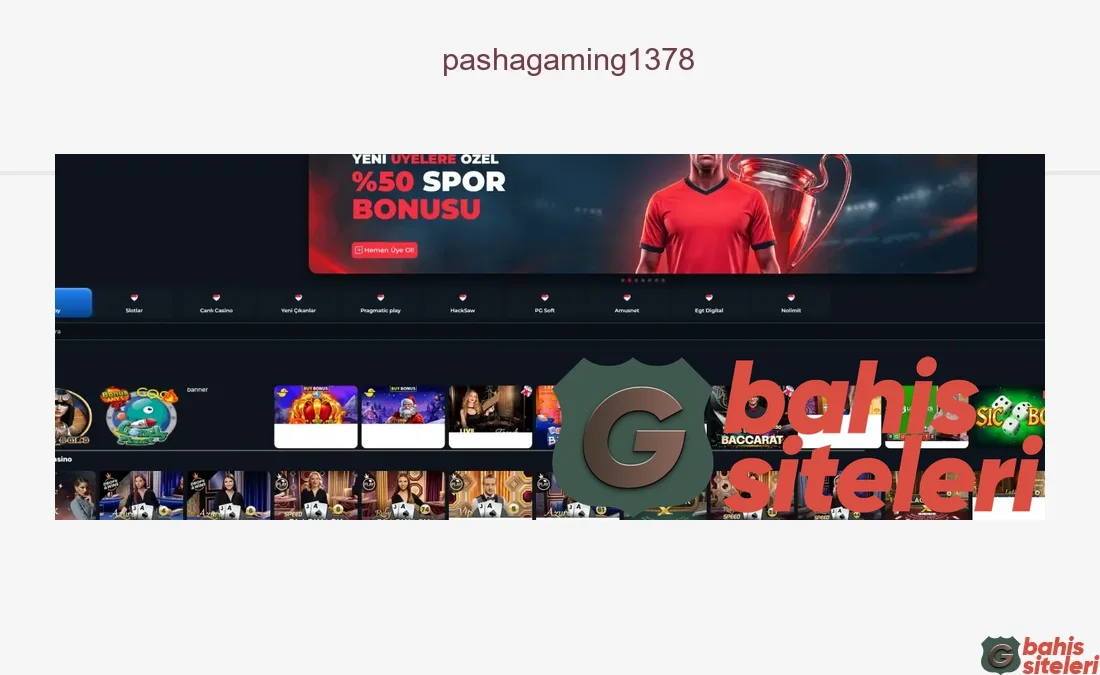 Pashagaming1378