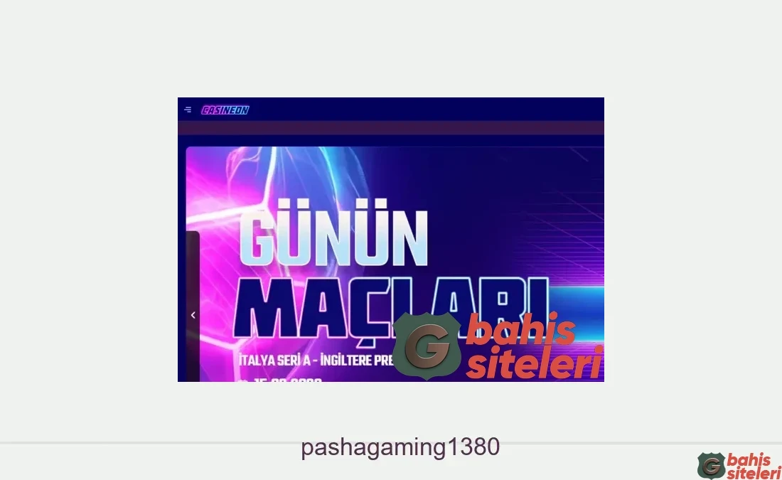 Pashagaming1380