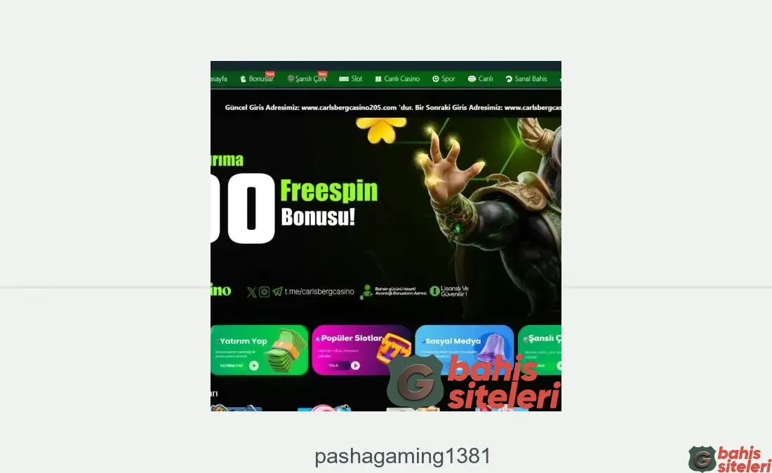 Pashagaming1381
