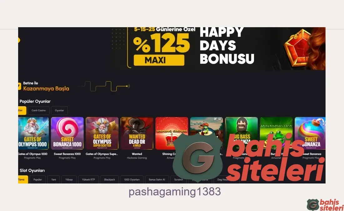 Pashagaming1383