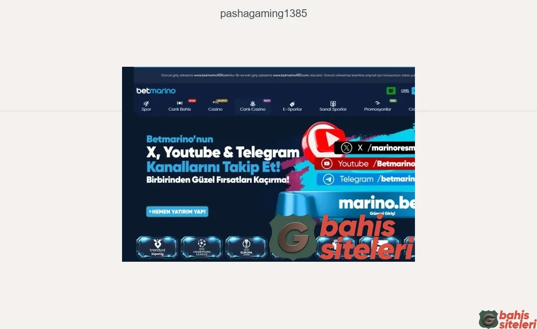 Pashagaming1385