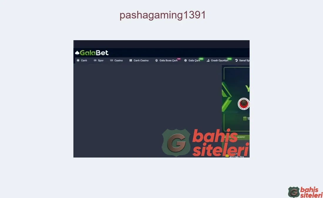Pashagaming1391