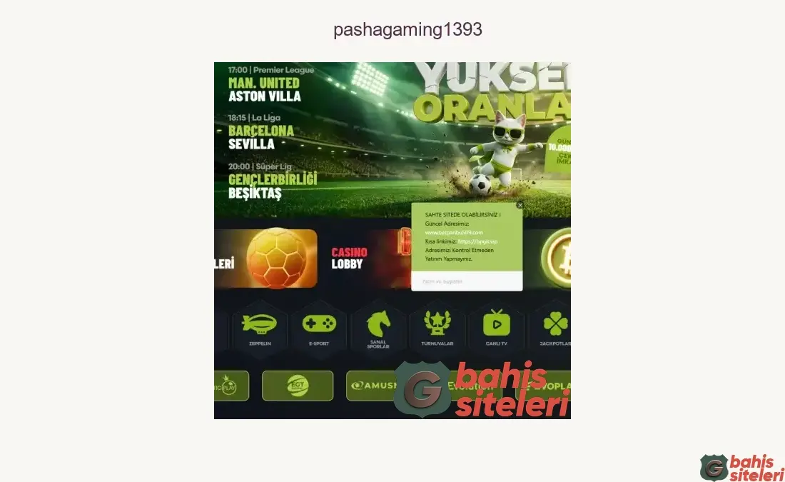 Pashagaming1393