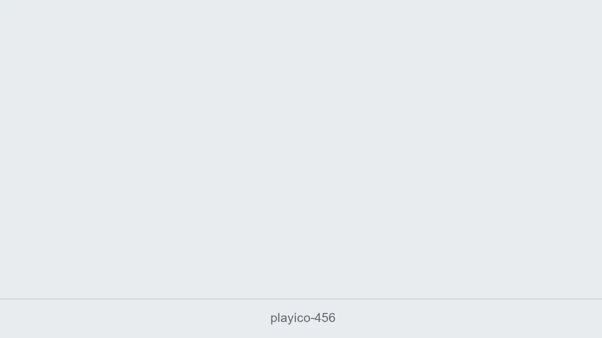 Playico 456