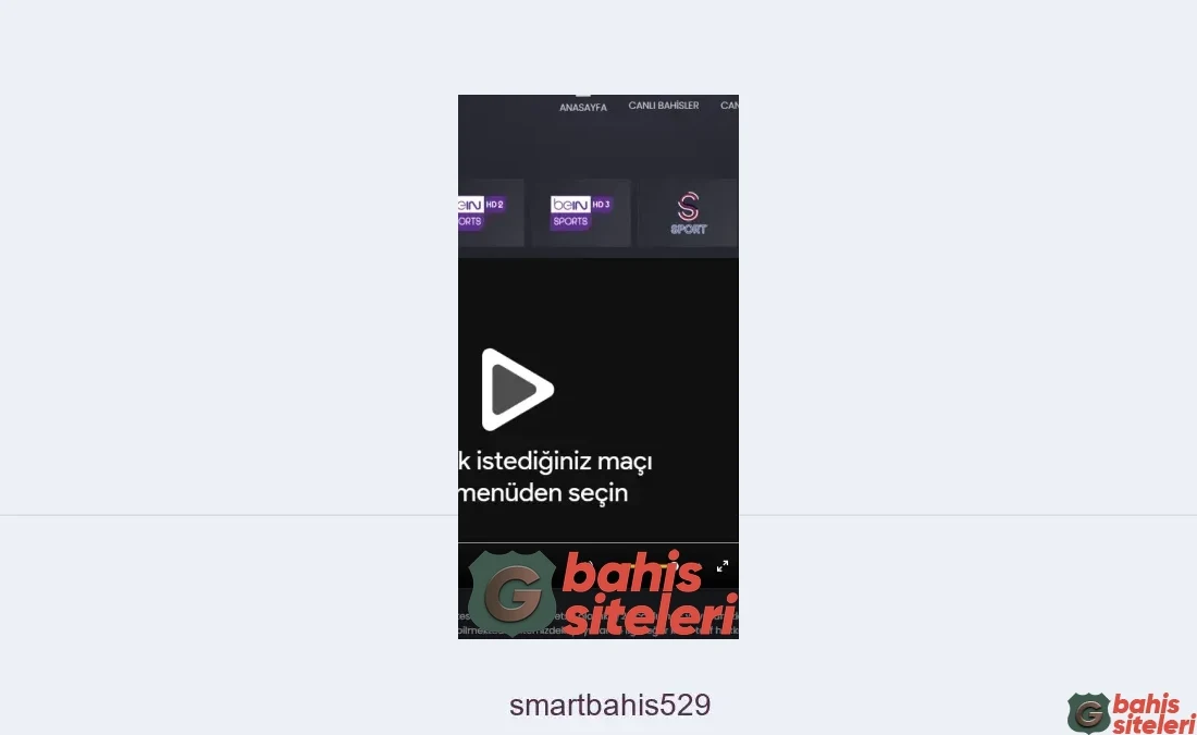 Smartbahis529
