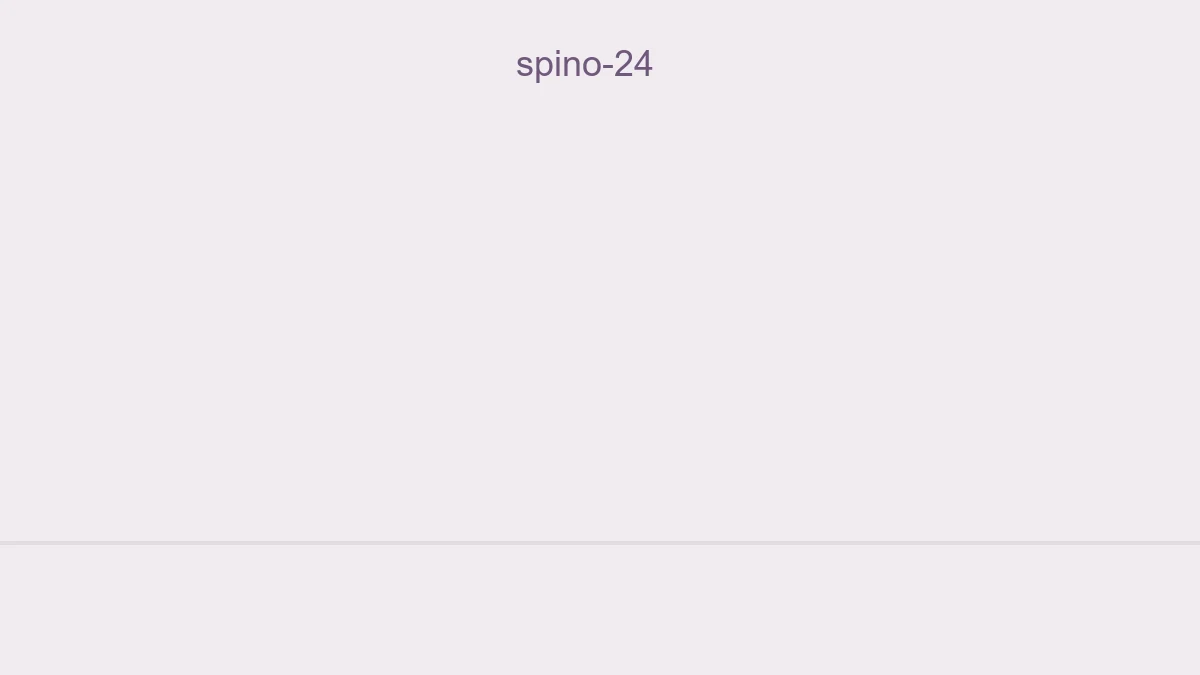 Spino 24
