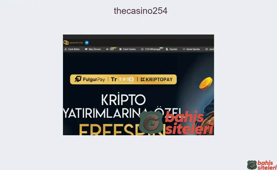 Thecasino254