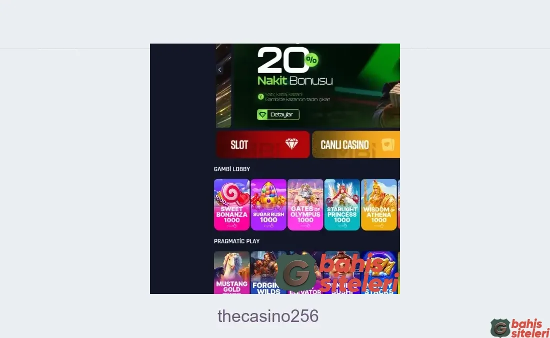 Thecasino256