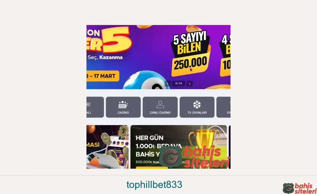Tophillbet833