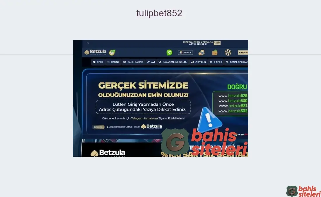 Tulipbet852