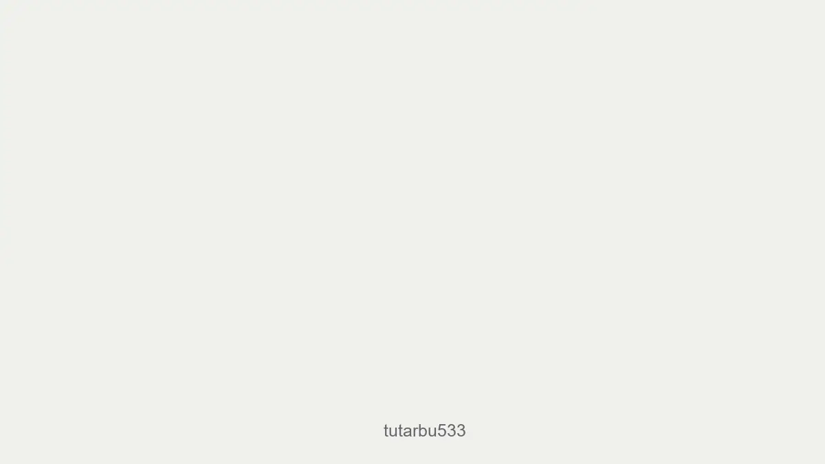 Tutarbu533