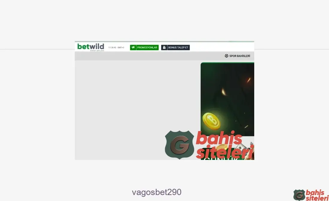 Vagosbet290