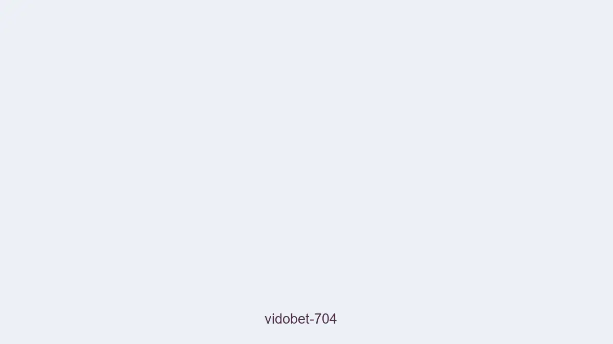 Vidobet 704