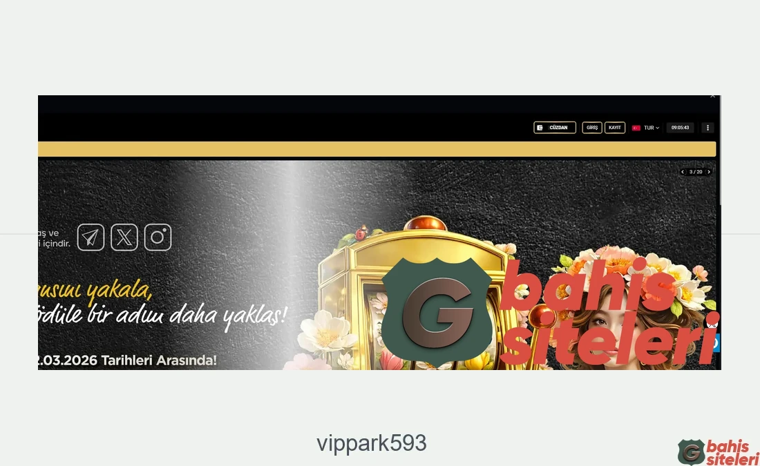 Vippark593