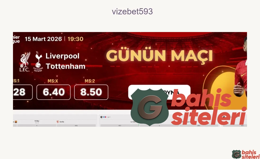 Vizebet593