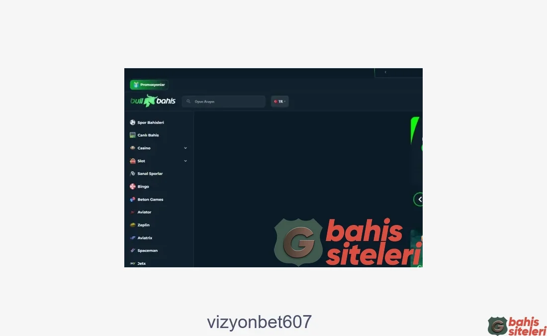 Vizyonbet607