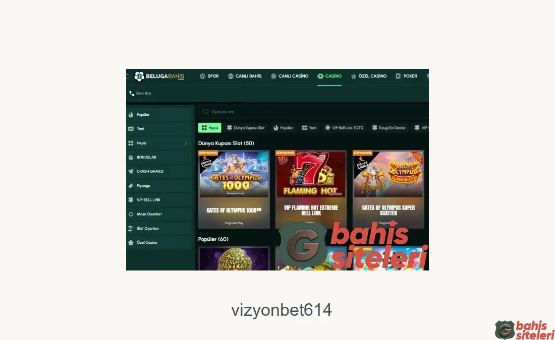 Vizyonbet614