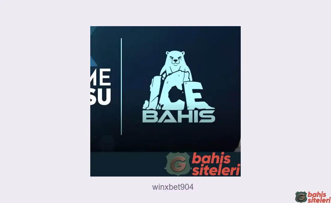 Winxbet904
