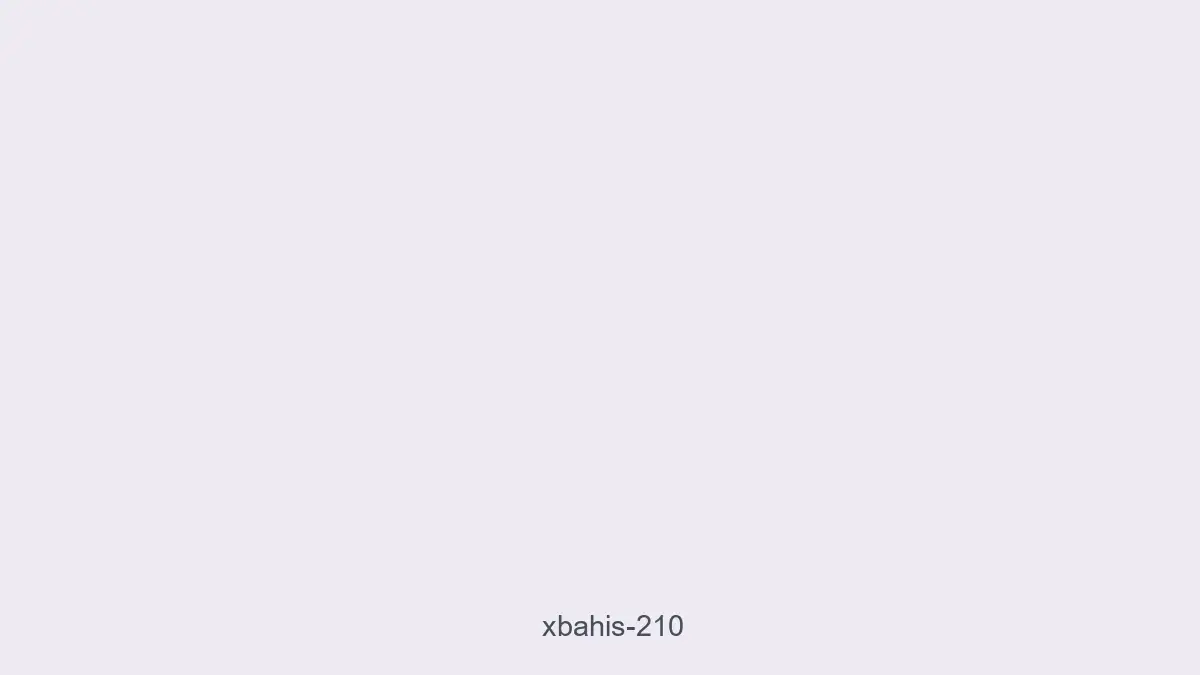 Xbahis 210