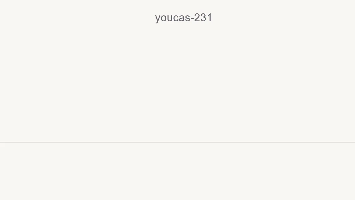 Youcas 231