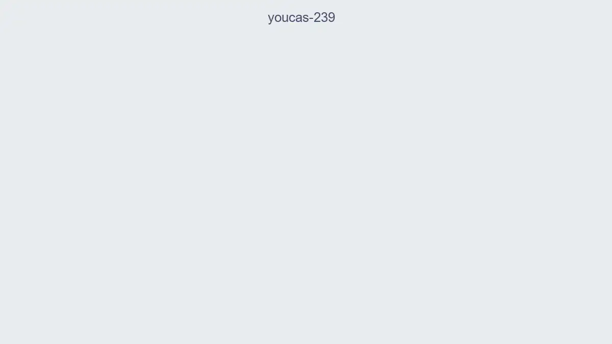 Youcas 239