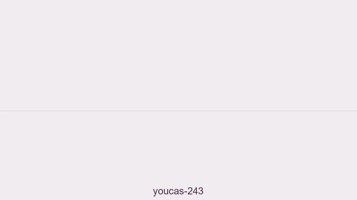Youcas 243