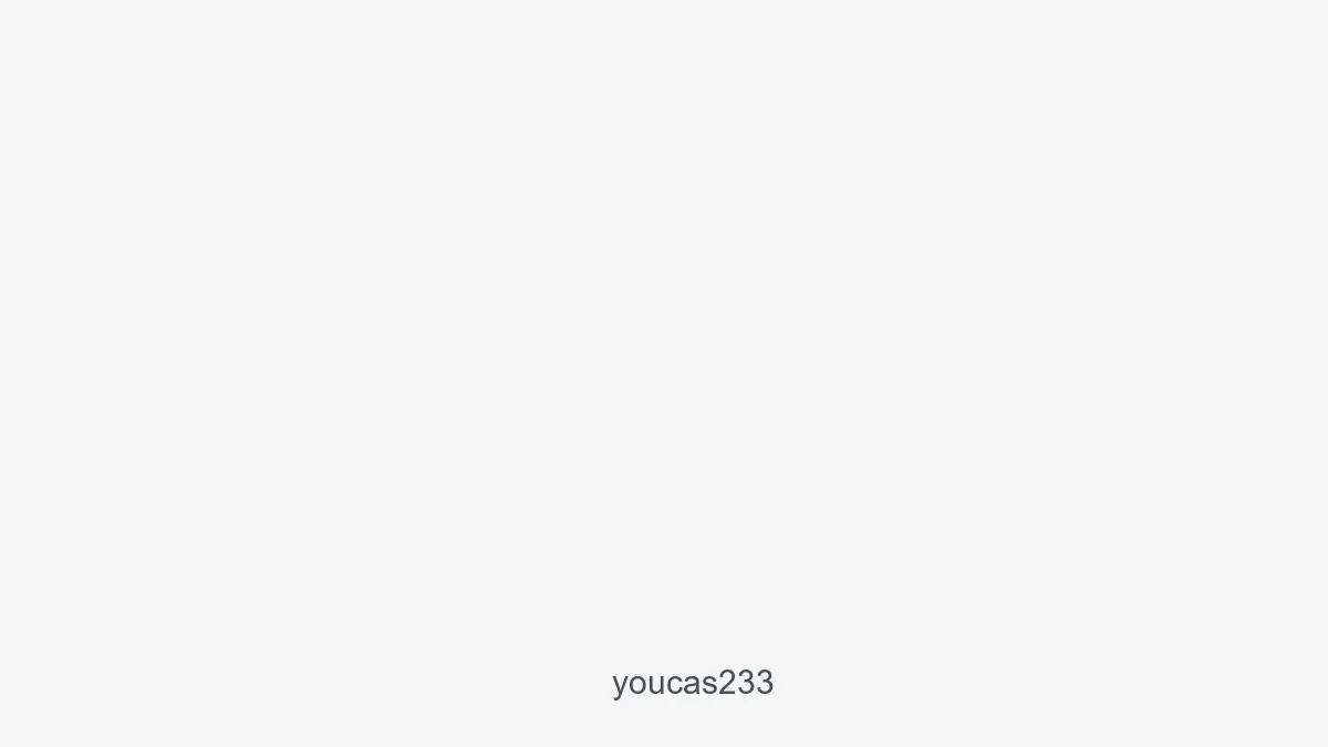 Youcas233